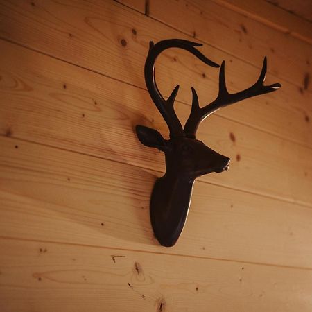 Treehouse Tucapy 호텔 외부 사진